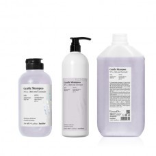 Шампунь для ежедневного применения Back Bar Gentle Shampoo №03 1000мл