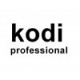 Производитель Kodi